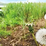 Kretowiny Iii Morąg