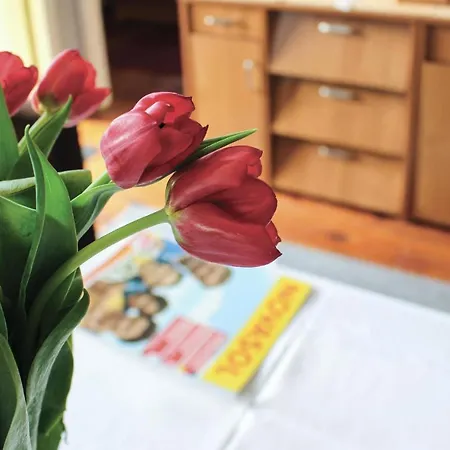 Een Prachtig Huis Met 1 Slaapkamer In Morag Vakantiehuis Morąg