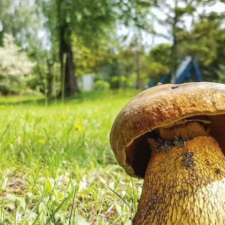 Morag Kretowiny Iii Nyaraló