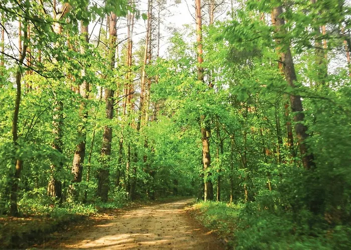 Kretowiny Iii Дом отдыха