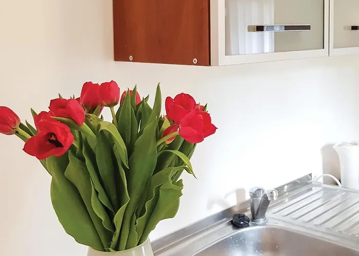 Дом отдыха Kretowiny Iii Моронг