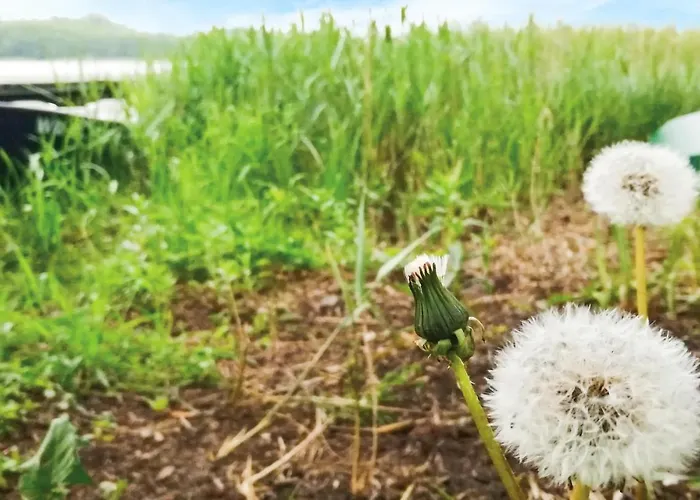 Kretowiny Iii Моронг