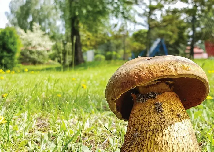 Kretowiny Iii Дом отдыха